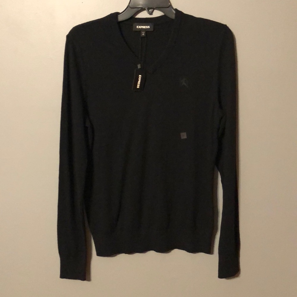 Express v neck sweater.
